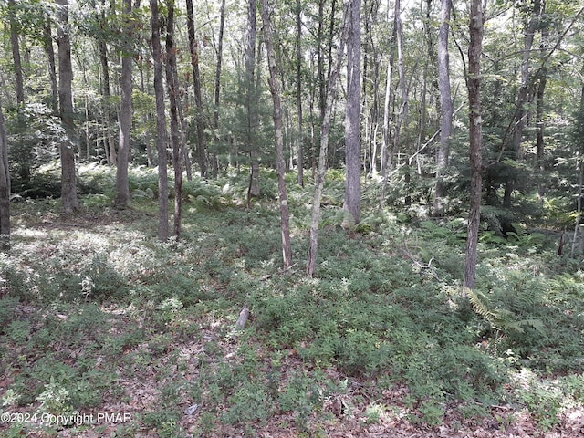 A143 Rosewood Dr, Jim Thorpe, PA 18229 - photo 8