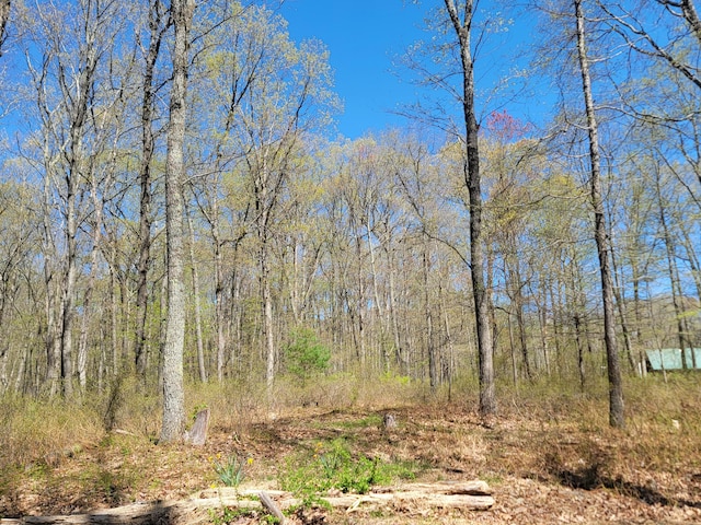 LOT114 Pohopoco Cir, Lehighton, PA 18235