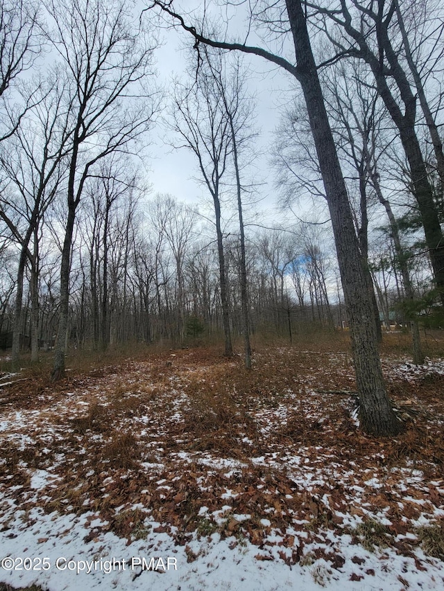 Listing photo 2 for LOT114 Pohopoco Cir, Lehighton PA 18235