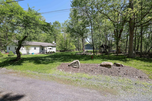 418 Leander Rd, East Stroudsburg, PA 18302 - view of green lawn