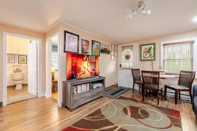 interior space with light wood-style flooring, a baseboard radiator, and crown molding