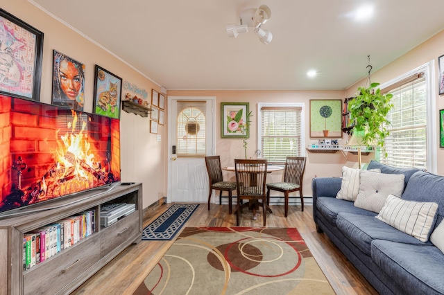 living room featuring crown molding and wood finished floors