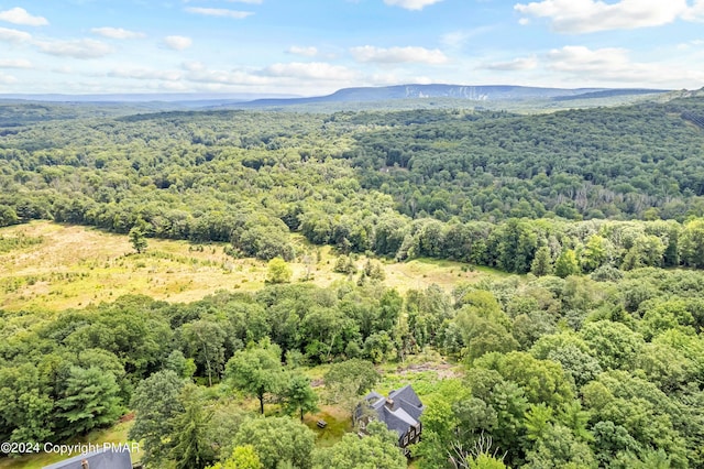 birds eye view of property featuring a mountain view and a view of trees