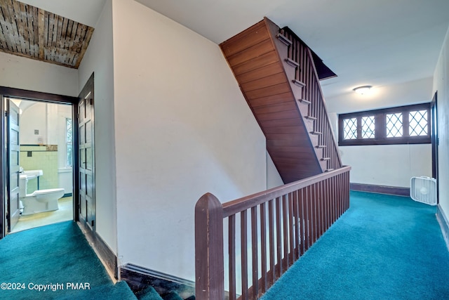 hallway with carpet floors