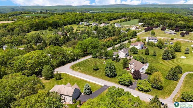 140 Birdie Way, Kunkletown, PA 18058 - bird's eye view of a forest