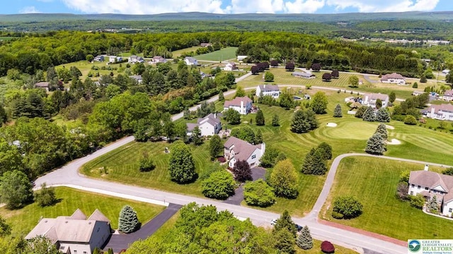 140 Birdie Way, Kunkletown, PA 18058 - bird's eye view of a forest