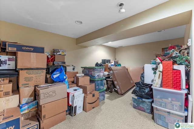 140 Birdie Way, Kunkletown, PA 18058 - view of storage
