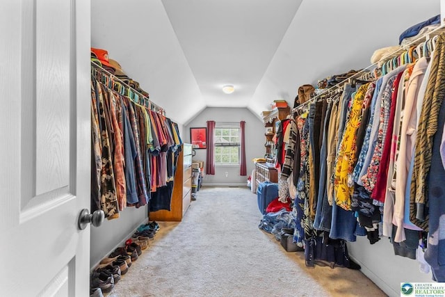 140 Birdie Way, Kunkletown, PA 18058 - spacious closet with carpet flooring and lofted ceiling
