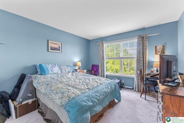 140 Birdie Way, Kunkletown, PA 18058 - bedroom with light colored carpet