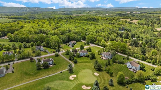 140 Birdie Way, Kunkletown, PA 18058 - drone / aerial view of a forest