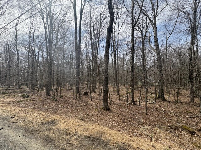 34 Tuscarora Trl, Gouldsboro, PA 18424 - photo 3