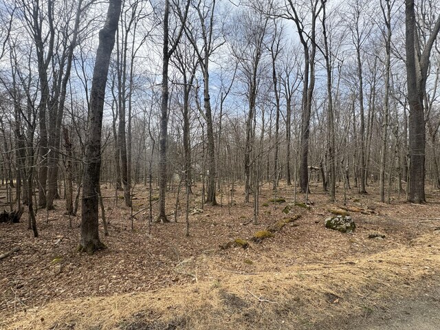 34 Tuscarora Trl, Gouldsboro, PA 18424 - photo 2