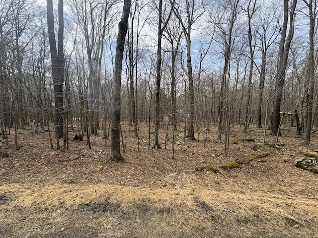 34 Tuscarora Trl, Gouldsboro, PA 18424 - photo 1
