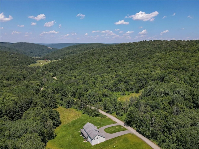 169 Roberts Rd, Starlight, PA 18461 - aerial view of a forest
