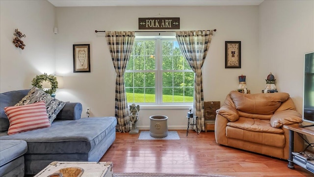 169 Roberts Rd, Starlight, PA 18461 - living room featuring wood finished floors and baseboards