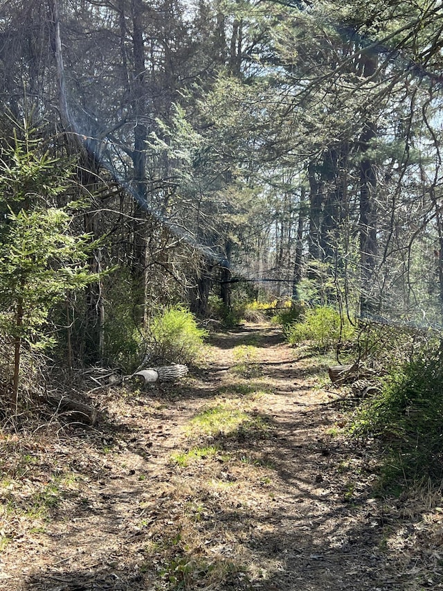 108 Devils Hole Rd, Cresco, PA 18326 - view of nature featuring a view of trees