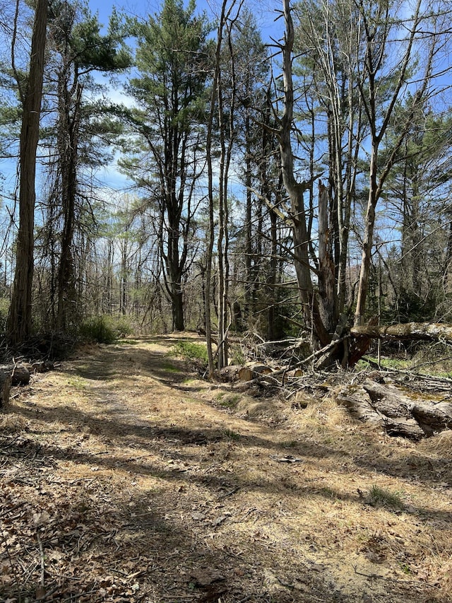 108 Devils Hole Rd, Cresco, PA 18326 - view of local wilderness