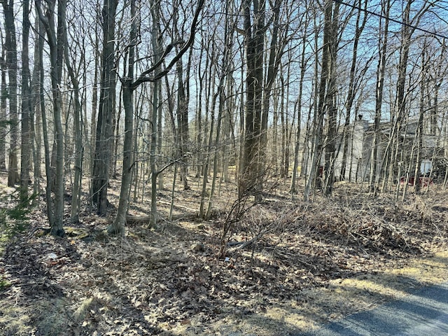 7117LOT3203 Glouster Rd, Tobyhanna, PA 18466