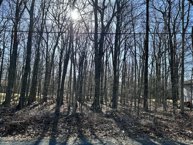 7117LOT3203 Glouster Rd, Tobyhanna, PA 18466