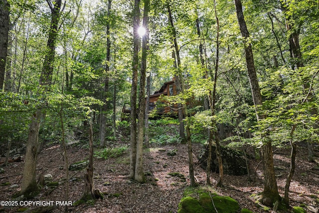 424 Iroquois Ln, Canadensis, PA 18325 - photo 6