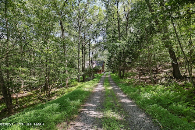 424 Iroquois Ln, Canadensis, PA 18325 - photo 9