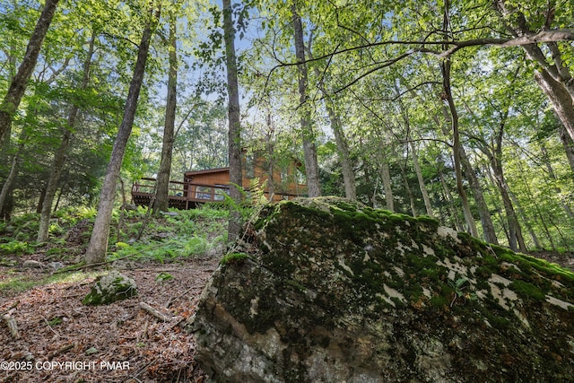 424 Iroquois Ln, Canadensis, PA 18325 - photo 10