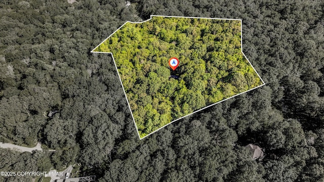 424 Iroquois Ln, Canadensis, PA 18325 - photo 2