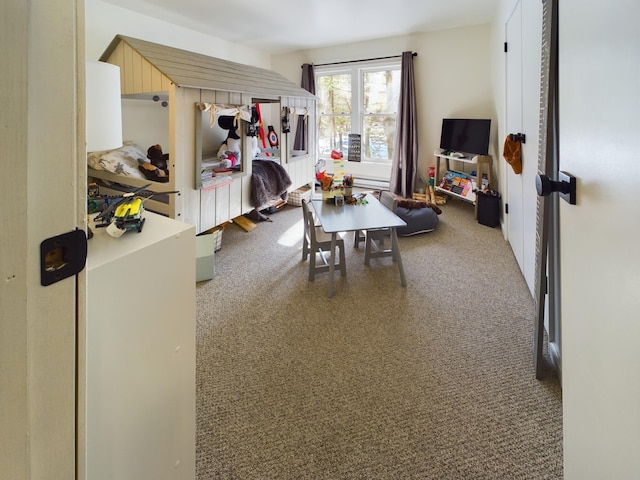 playroom with carpet floors