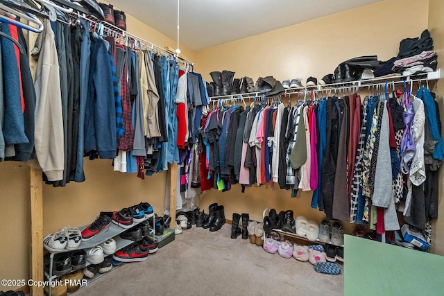 spacious closet featuring carpet flooring