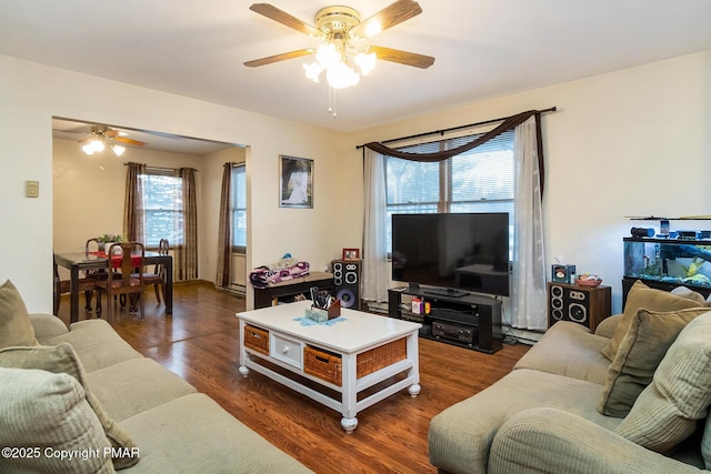 living room with ceiling fan and dark hardwood / wood-style flooring