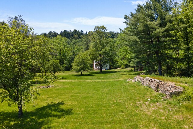 266 Laurel Rd, Lehighton, PA 18235 - view of property's community with a yard and a forest view