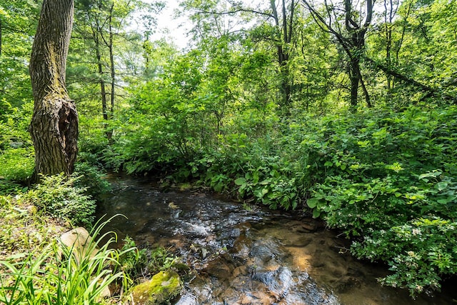 266 Laurel Rd, Lehighton, PA 18235 - view of nature