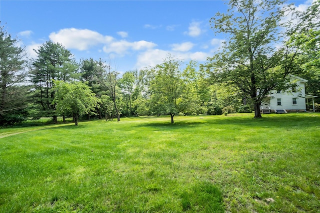 266 Laurel Rd, Lehighton, PA 18235 - view of grassy yard