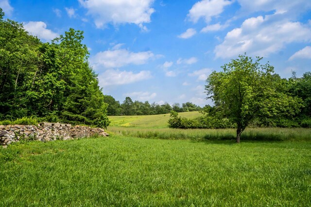 266 Laurel Rd, Lehighton, PA 18235 - view of yard