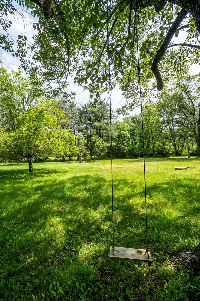 266 Laurel Rd, Lehighton, PA 18235 - view of grassy yard