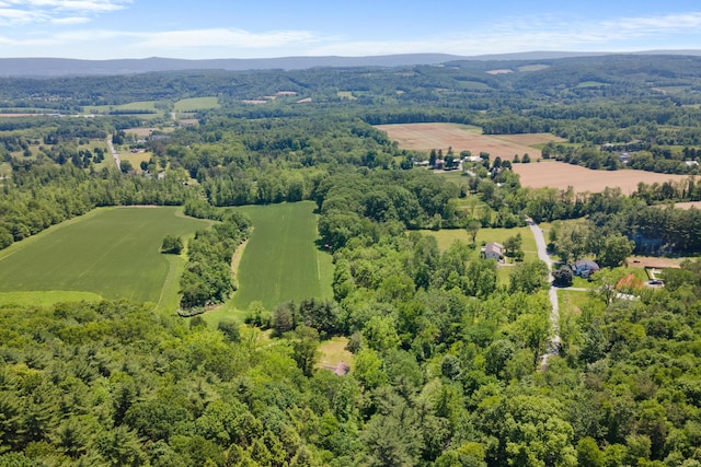 266 Laurel Rd, Lehighton, PA 18235 - bird's eye view of a heavily wooded area and a mountain backdrop