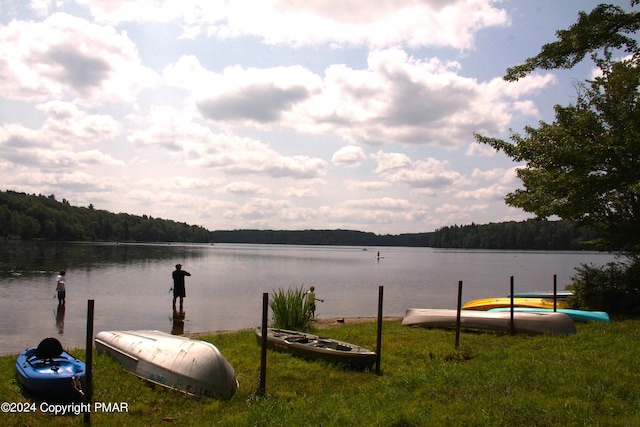 water view featuring a dock and a view of trees