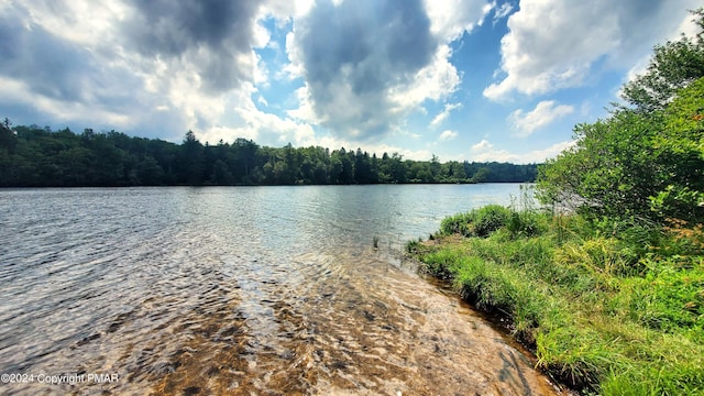 view of water feature featuring a forest view