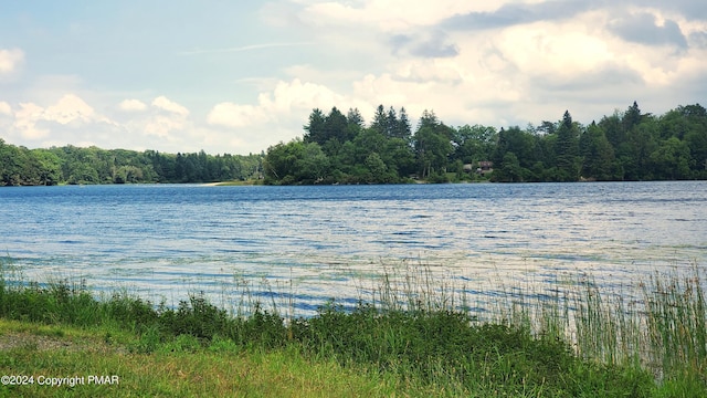 water view featuring a forest view