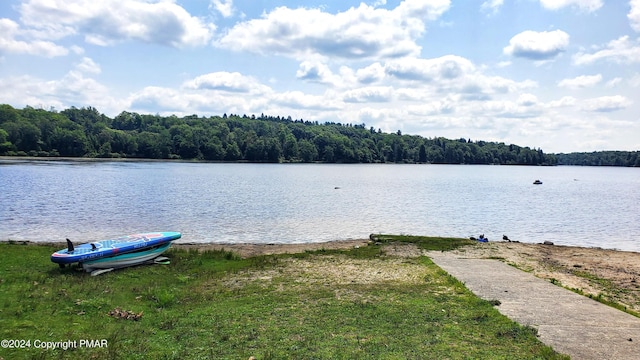 property view of water featuring a view of trees