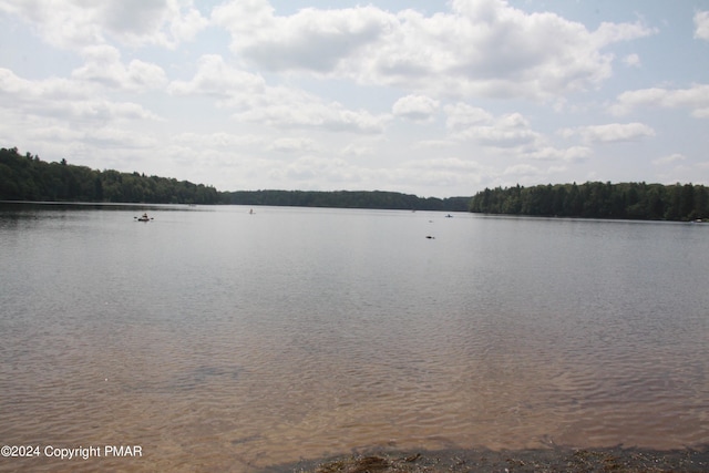 property view of water featuring a wooded view