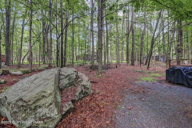 433 Orono Dr, Pocono Lake, PA 18347 - photo 2