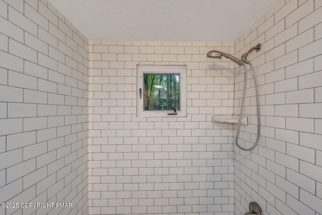 433 Orono Dr, Pocono Lake, PA 18347 - photo 25