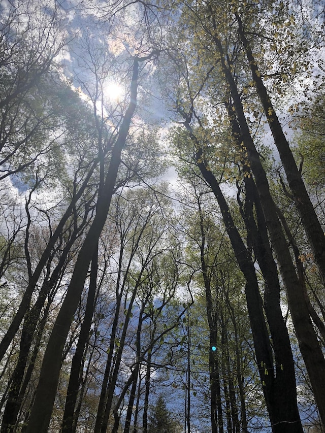 Fala Ct, Pocono Lake, PA 18347