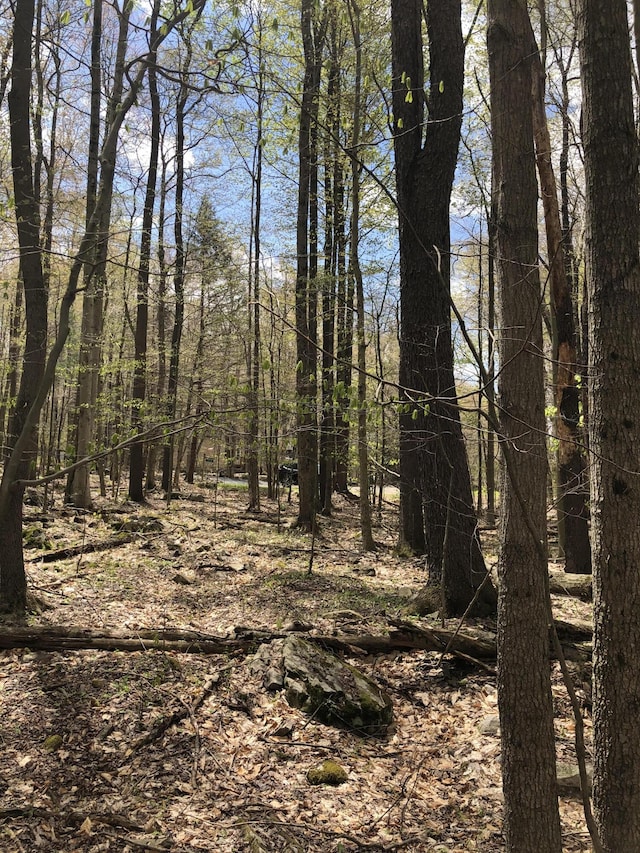 Fala Ct, Pocono Lake, PA 18347