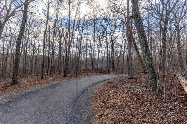 view of street featuring a view of trees