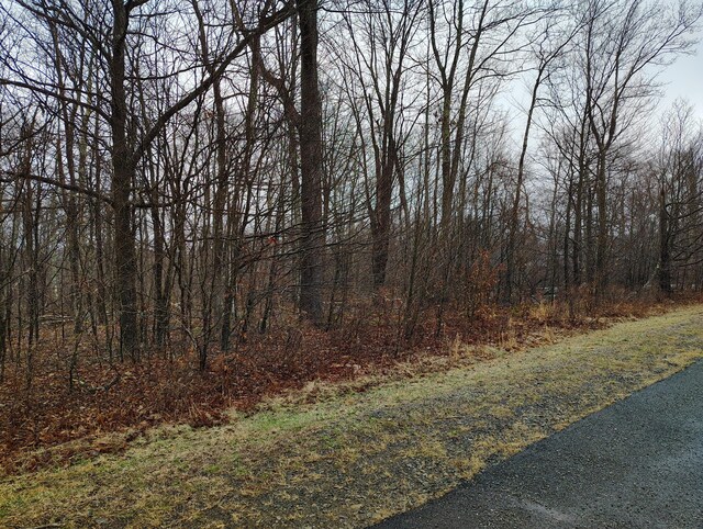 Blue Heron Ct, Gouldsboro, PA 18424 - photo 11