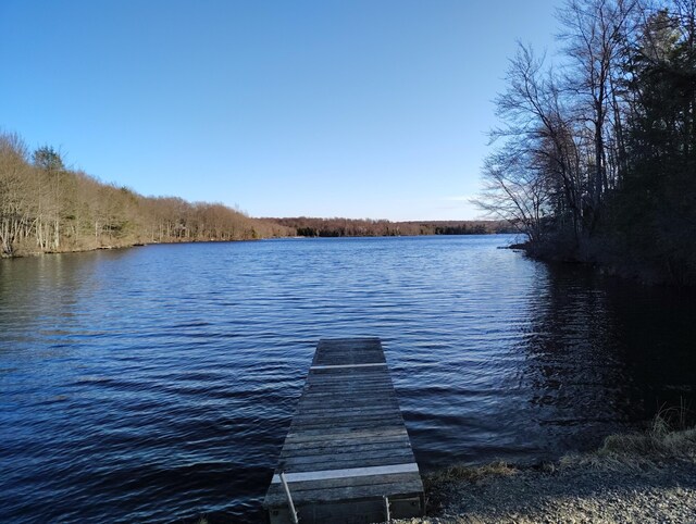 Blue Heron Ct, Gouldsboro, PA 18424 - photo 13