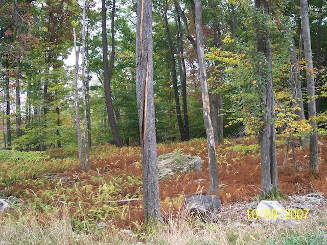 LOT13 Noah Ct, Canadensis PA, 18325 land for sale