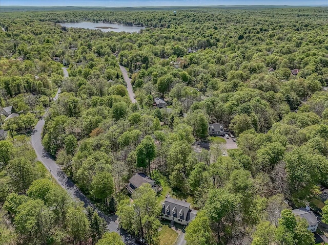 1281 Winding Way, Tobyhanna, PA 18466 - bird's eye view of a forest and a nearby body of water